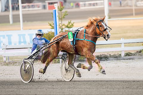 Jarmo Saarela ajoi Annanin tammakisan voittoon.