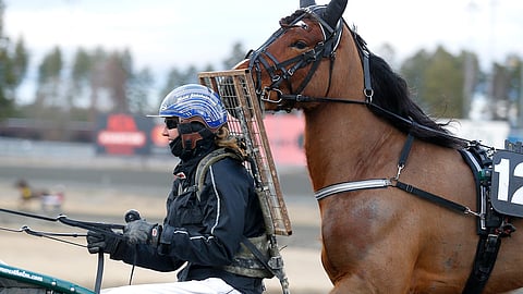 Ravikilpailuissa helposti kuumuvat hevoset pyritään usein pitämään mahdollisimman rauhallisina, ja esimerkiksi lämmittämään niille sopivalla tavalla.