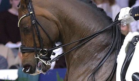 Keskustelu kouluratsastuksesta jatkuu.