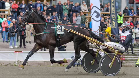 Lämminveriravuri MAS Henri rattaillaan Mika Forss