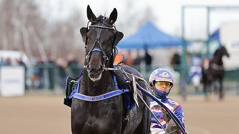 Crepe Match ja Olli Koivunen