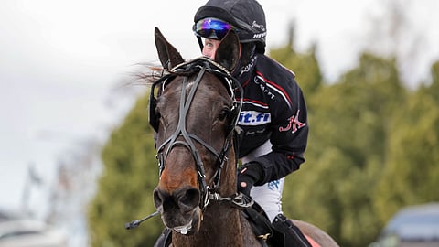 Skyfall Shine ja Jenni Kaija