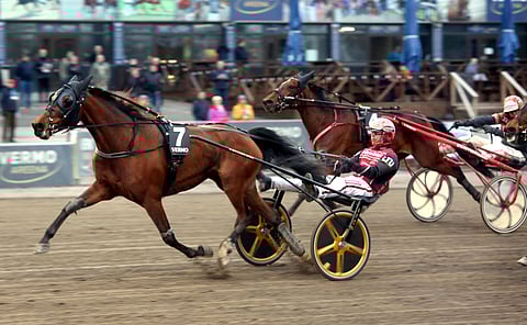 Lightning Stride otti karsintavoiton ennen perässään kirinyttä Lady Cashia.