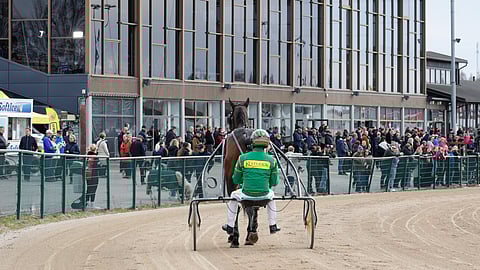 Kuvituskuva Seinäjoki Race 2025 yleisö