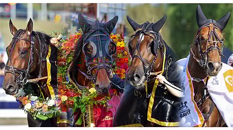 Viime vuoden menestyneimmät ikäluokkatähdet ansaitsivat eniten. Rahaa on kuitenkin jaossa muissakin kuin ikäluokkalähdöissä.