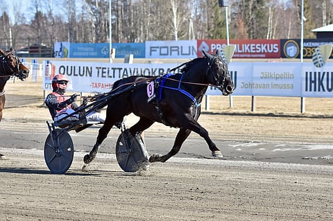 Kierros alkoi Evartin voitolla, ja päättyi Pihtiputaan valmentaja Antti Ojanperän komennossa, kun Lancelot B.R. marssi ykköseksi.