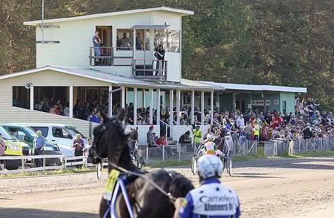Kirjoittajan mielestä uusia ihmisiä lajin pariin saadaan kesäradoilta, eikä niiden ravipäiviä auttaisi vähentää.