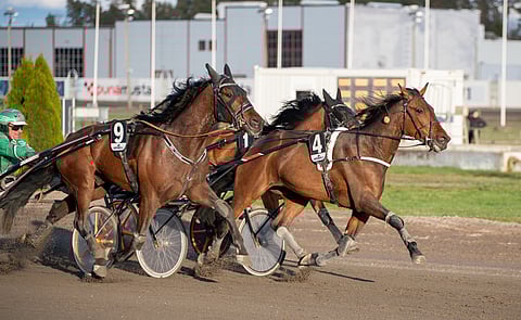 Marlene Vice (4) piti BWT Jokerin (9) täpärästi takanaan.