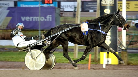 Hell Of A Dance ja Riku Salminen