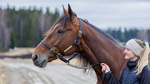 Massimo Hoist ja Veera Hakkarainen.