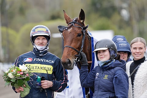 Janne Korpi, Kinglet Bird ja Jenina Hamari