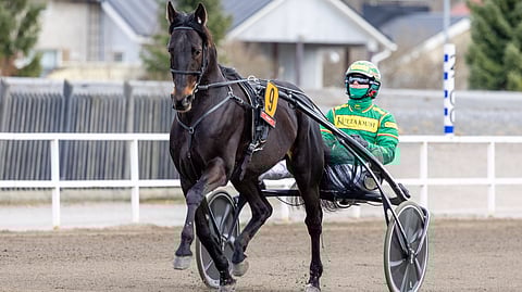 Atupem, Jukka Torvinen, ravihevonen
