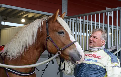 Jukka-Pekka Kauhasen valmentama Uskotoivo juoksee perjantai-iltana Forssassa 10 000 euron ensipalkinnosta.