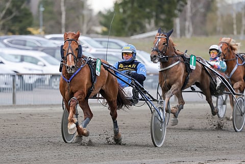 Siru Juutisen valmentama Morison on edelleen iskussa, vaikka talvi onkin ohitse.