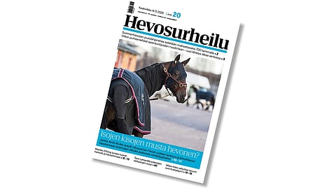 Miten koko vaikuttaa hevosen suorituskykyyn? – Hevosurheilu on ilmestynyt