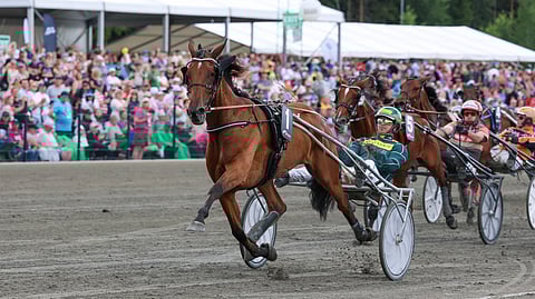 One Night Only rattaillaan Hannu Torvinen