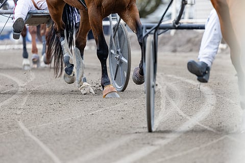 Kirjoittaja haluaa varoittaa raviurheilun päättäjiä oikeudellistumisen seurauksista.