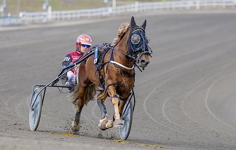 Kalistaja Kallen varusteisiin kuuluu päänaamari ja silmäverkot, koska ilman niitä se tuppaa nakkelemaan päätään rajustikin.