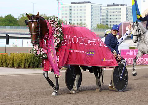 Ravit UET Elite Circuit