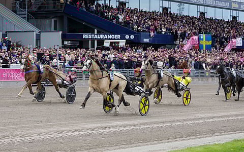 Ravit Elitkampen