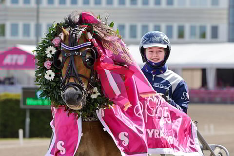 Ponit Lilla Elitloppet