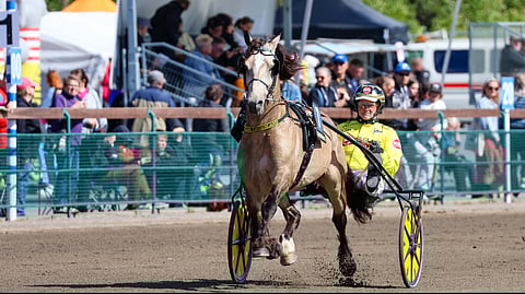 Brenne Borken on kova nimi Härmään.