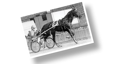 Kuva-arvoitus – Tunnistatko kuvan hevosen ja ihmisen?