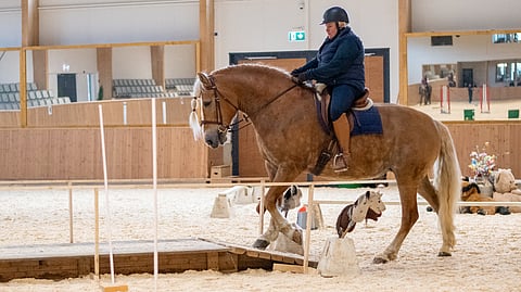 Jaana Teräaho-Harainen treenaamassa Wesundassa.