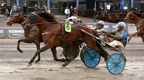 Bella Vanity ja Ginza