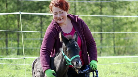 Kirsi Mikkonen on huolehtinut tammoista ja varsoista pitkään, nyt on aika erilaiselle elämälle ainakin hetkeksi.