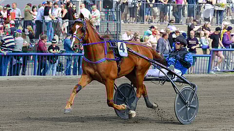 Ideal San Leandroa ei Kymi Grand Prix’n rata-arvonta suosinut, kun hevonen arvottiin radalle kahdeksan. Vuosi sitten se kilpaili Anthony Barrierin ohjastamana Kouvolan stayer-lähdössä.