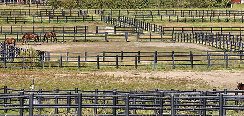 Asetuksessa otetaan kantaa esimerkiksi tarhaukseen.