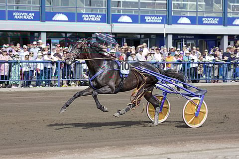 Vincent C.D. pääsi rytäkän jälkeen irti.