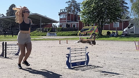 Maija Suni ja Dom-kani esittelemässä taitojaan Ypäjällä.