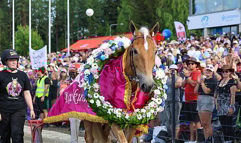 Suven Sametti on kolminkertainen ja hallitseva ravikuningatar.