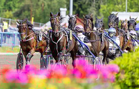Kesällä kilpailevien hevosten määrä on suurempi kuin talvella, joten ravipäivien vähennys on kohdistumassa talvikauteen.