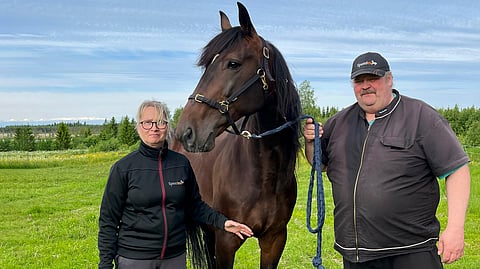 President Lindy on Terhi ja Ari Aatsingin silmäterä. Lempeä ori ei tee kotona numeroa itsestään, mutta kilparadoilla sen räjähtävä nopeus on häkellyttävän kovaa luokkaa.