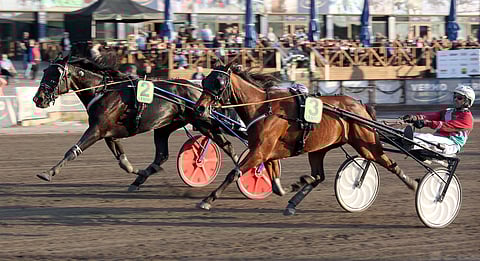 Fortunewheelgarden (2) sivusi keskiviikkona Vermossa tammojen keskipitkän matkan Suomen ennätystä 13,1-voittotuloksellaan.
