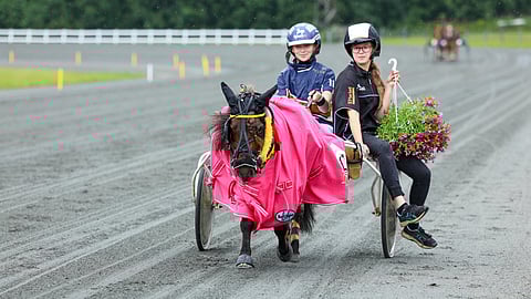Kuvituskuva. Fine Dark nappasi ensimmäisen suurkilpailuvoittonsa Kaustisella.