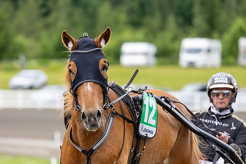 Lumi-Oosan tuloskuntoon haetaan nousujohteisuutta.