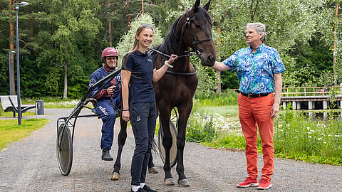 Hevonen Jyväskylä Jyri Hellevuo, Iida Laatikainen-Raussi ja Ahti Ruoppila