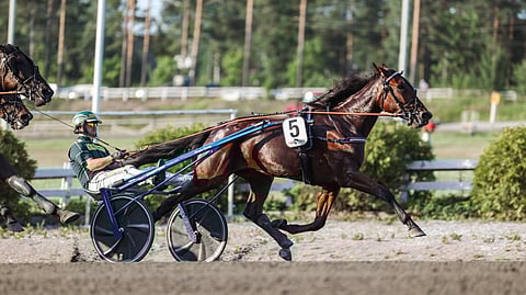 EL Narnia rattaillaan Hannu Torvinen