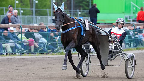 Henry Flyer Sisu rattaillaan Mika Forss