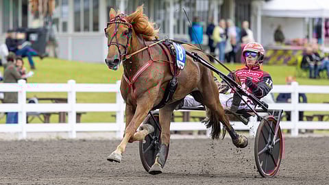 Jockas Rita, Santtu Raitala