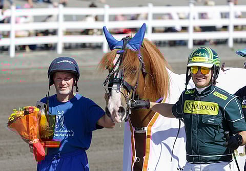 Pasi Teini, Kukkarosuon Kurko ja Hannu Torvinen
