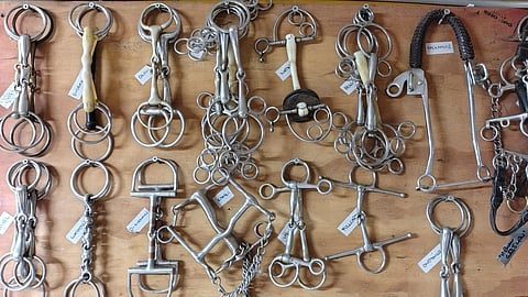 Kuolaimista on tullut Teräväisen mukaan bisnes. Erilaisia kuolainyhdistelmiä on satoja. Kuva Keskimäen hevostilan opetusseinältä.