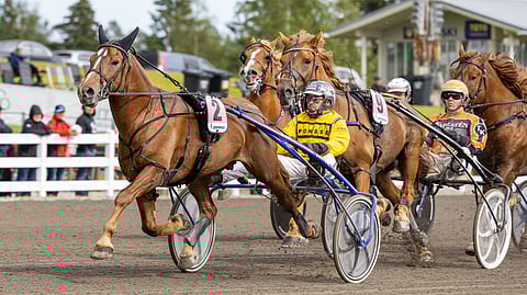 Suur-Hollola-ajoa hallinnut Wertti on Jani Ruotsalaisen ensimmäinen oman tallin hevonen Kuninkuusravien pääkilpailussa. ”Olen aina haaveillut, että saisin olla mukana omalla valmennettavallani”, Ruotsalainen kertoo.
