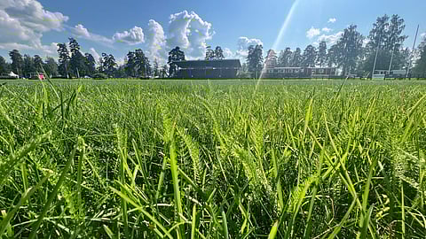 Hevosopiston derbykenttä sai osakseen hurjat rankkasateet PM-kisaviikonlopun viimeisenä aamuna.