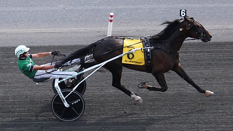 Hambletonian