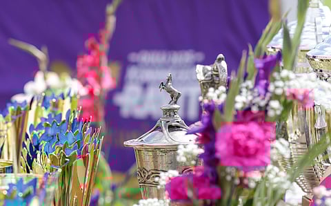 Kuninkuusravikävijät jättivät elokuun ensimmäisenä viikonloppuna Oulun talousalueelle noin 7,4 miljoonaa euroa.